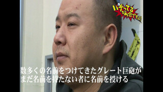 パチってる場合ですよ! #2