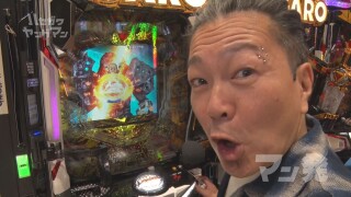 ハセガワヤングマン #145