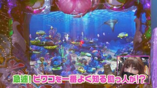 ビワコのラブ・ファイター #337
