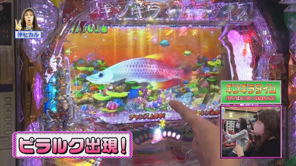 ビワコのラブ・ファイター #308