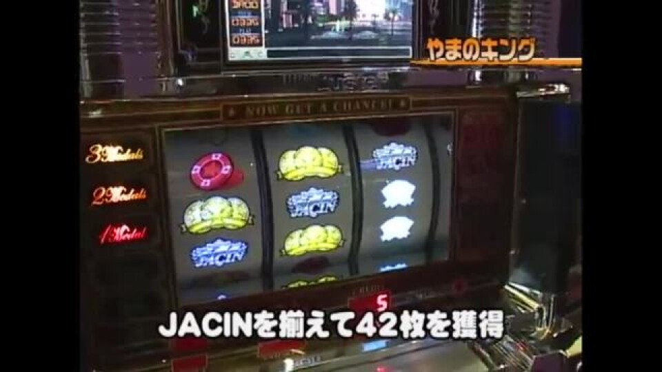 射駒・ゼットン・やまキンのマイホへようこそ！ #2